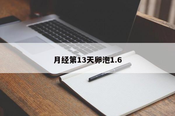 月经第13天卵泡1.6