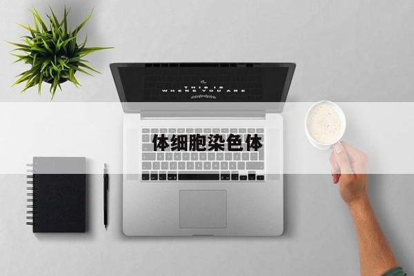 体细胞染色体