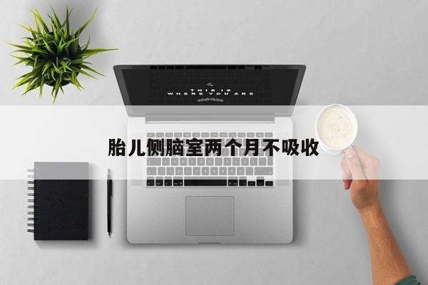 胎儿侧脑室两个月不吸收