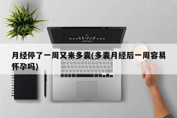 月经停了一周又来多囊(多囊月经后一周容易怀孕吗)