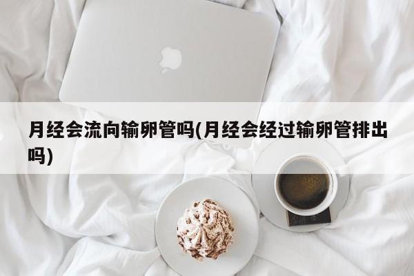 月经会流向输卵管吗(月经会经过输卵管排出吗)