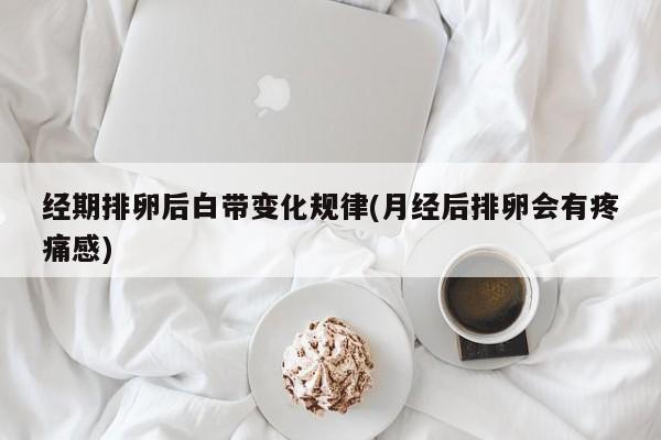 经期排卵后白带变化规律(月经后排卵会有疼痛感)